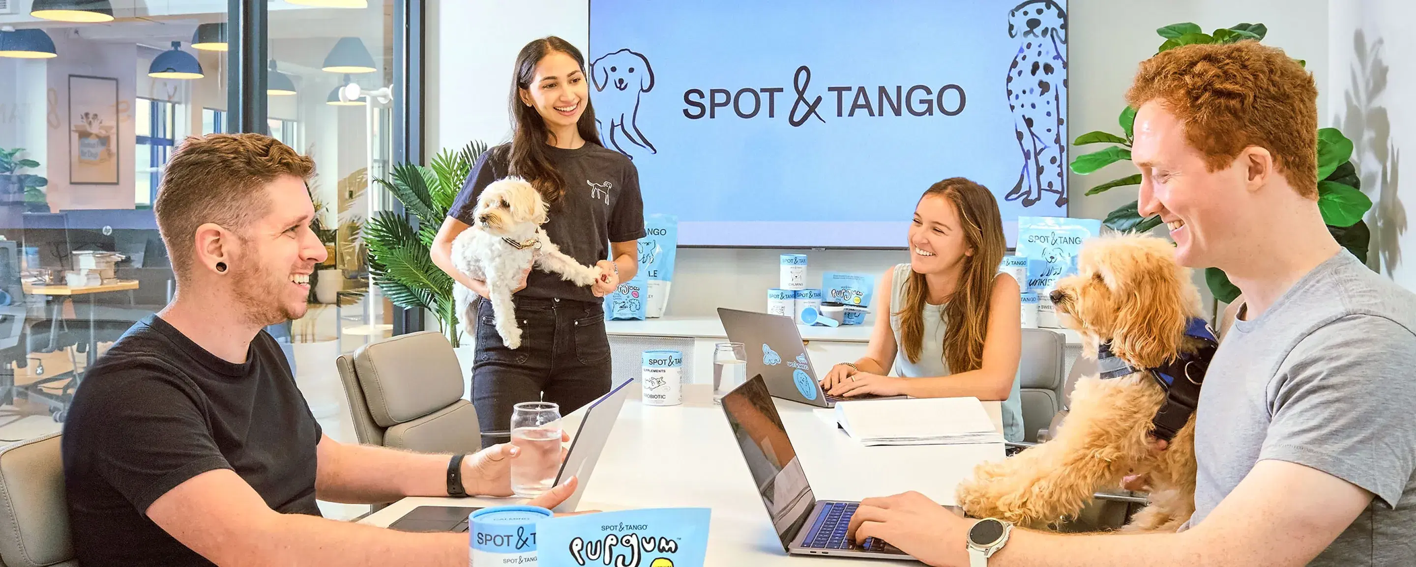 Team meeting four employees with two small dogs in the Spot and Tango New York City office
